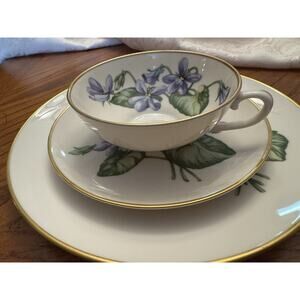 Franciscan Fine China Olympic Cup, Saucer & Sandwich Plate. Ca. Brand New.